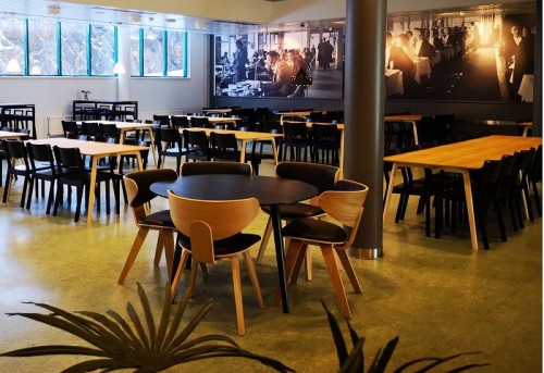 Thiết kế mẫu ghế gỗ uốn cong với kiểu dáng tinh sảo và độc đáo